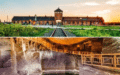 Excursión de un día a Auschwitz-Birkenau y las Minas de sal