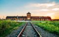 Visitar Auschwitz - Excursión a Asuchwitz-Birkenau