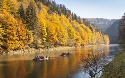 calm waters od dunajec