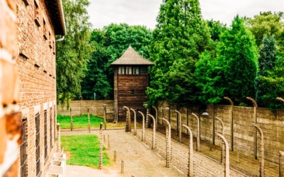 Electric fence under high voltage