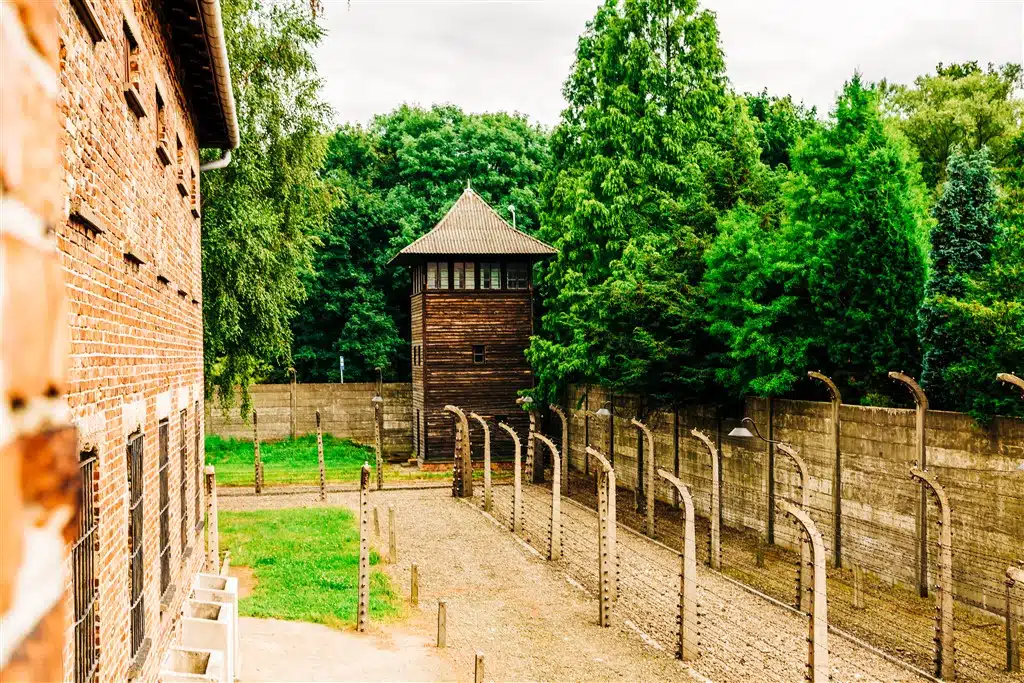Electric fence under high voltage